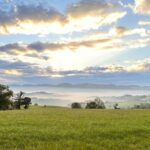 Auvergne-Rhône-Alpes